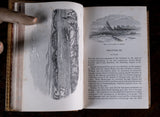 1857 Nineveh And Its Palaces by Joseph Bonomi - Harrington Antiques