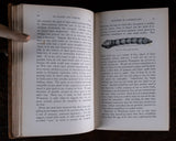 1879 Scientific Lectures by Sir John Lubbock - Harrington Antiques