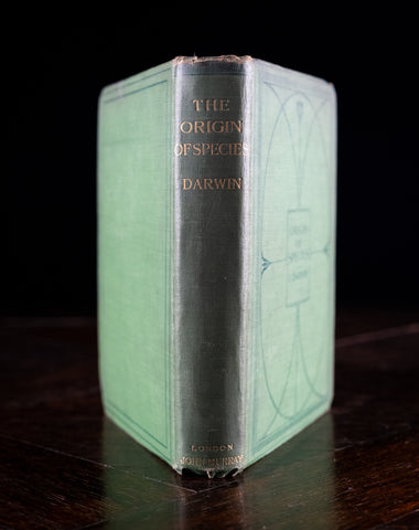 1900 The Origin Of Species by Charles Darwin - Harrington Antiques