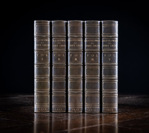1912 Wild Flowers As They Grow by H. Essenhigh Corke. 5 Vols. - Harrington Antiques