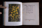 1912 Wild Flowers As They Grow by H. Essenhigh Corke. 5 Vols. - Harrington Antiques