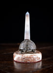 19th Century Bronze and Agate Rotating Tortoise Desk Ornament - Harrington Antiques
