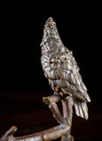 19th Century Bronze Cockatoo On Branch - Harrington Antiques
