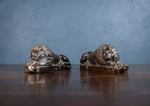 19th Century Bronze Lions After Anthony Canova - Harrington Antiques