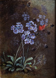 19th Century Still Life Of Butterfly & Flowers. Oil On Canvas. - Harrington Antiques