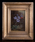 19th Century Still Life Of Butterfly & Flowers. Oil On Canvas.