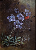 19th Century Still Life Of Butterfly & Flowers. Oil On Canvas.