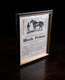 'Black Prince' Horse Advertisement, Dated 1839.