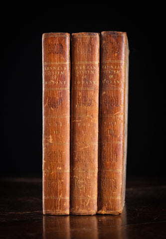 1816 The Class And Orders Of The Linnaean System Of Botany. First Edition.