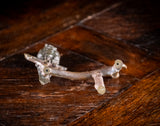19th Century Bronze Cockatoo On Branch