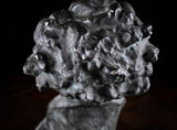 Painted Plaster Bust of Ludwig Van Beethoven, c.1930.