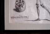 Andrew Bell (1726-1809) - Anatomical Skeleton Engraving, c.1770