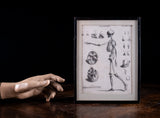 Andrew Bell (1726-1809) - Anatomical Skeleton Engraving, c.1770
