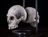 18th Century Carved Skulls Of The Damned