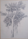 Arthur George Walker RA (1861 - 1939) - Tree Sketch. - Harrington Antiques