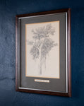 Arthur George Walker RA (1861 - 1939) - Tree Sketch. - Harrington Antiques