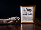 'Black Prince' Horse Advertisement, Dated 1839. - Harrington Antiques