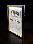 'Black Prince' Horse Advertisement, Dated 1839. - Harrington Antiques