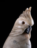 Carved Alabaster Parrot & Cockatoo, c.1920 - Harrington Antiques