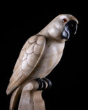 Carved Alabaster Parrot & Cockatoo, c.1920 - Harrington Antiques