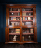 Large Regency Brass Inlaid Mahogany Bookcase - Harrington Antiques