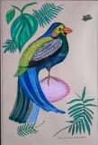 Pair of Naive Pen & Ink Birds of Paradise - Harrington Antiques