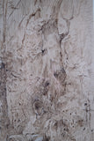 Pen, Ink & Watercolour - Man Resting Amongst Trees - Harrington Antiques