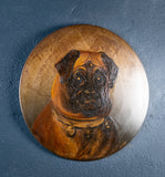 Pug With Bell Collar - Oil on Tin. Naive School. C.1900. - Harrington Antiques