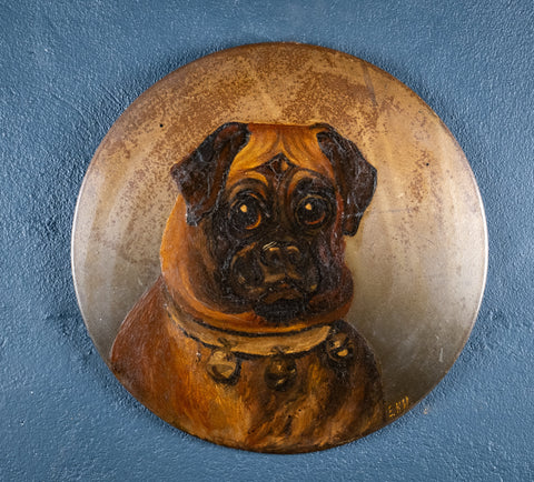 Pug With Bell Collar - Oil on Tin. Naive School. C.1900. - Harrington Antiques