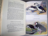 1953 The Birds of West and Equatorial Africa by David Armitage Bannerman. First Edition. - Harrington Antiques