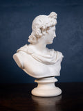 19th Century Art Union Of London Parian Bust of Apollo - Harrington Antiques