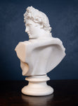 19th Century Art Union Of London Parian Bust of Apollo - Harrington Antiques