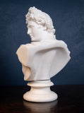 19th Century Art Union Of London Parian Bust of Apollo - Harrington Antiques