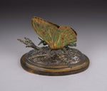 19th Century Cold Painted Bronze Butterfly Letter Clip - Harrington Antiques