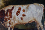 19th Century Prize Bull Portrait. English School. Oil On Canvas. - Harrington Antiques