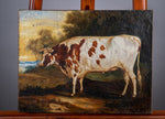19th Century Prize Bull Portrait. English School. Oil On Canvas. - Harrington Antiques