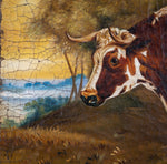 19th Century Prize Bull Portrait. English School. Oil On Canvas. - Harrington Antiques