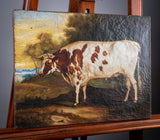 19th Century Prize Bull Portrait. English School. Oil On Canvas. - Harrington Antiques