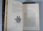 1877 The Waverley Novels by Sir Walter Scott - 48 Volumes.