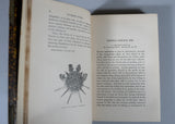 1877 The Waverley Novels by Sir Walter Scott - 48 Volumes.