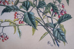 Barbara Watson (fl. 1956-69) - Brambles. Gouche. - Harrington Antiques