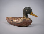 Early 20th Century Carved Painted Decoy Mallard Duck - Harrington Antiques