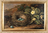 Fanny Wycliffe Goodwin (fl.1840-1850) - Bird's Nest & Primrose. Oil On Board. - Harrington Antiques