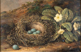 Fanny Wycliffe Goodwin (fl.1840-1850) - Bird's Nest & Primrose. Oil On Board. - Harrington Antiques