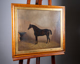 James Clarke (1858-1943) Chestnut Horse In Stable. Oil On Canvas. - Harrington Antiques