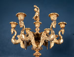 Large Pair Of Gilded Neoclassical Style 7-Branch Candelabra - Harrington Antiques