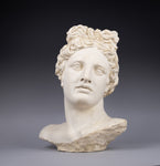 Large Plaster Bust Of Apollo Belvedere - Harrington Antiques