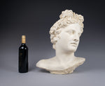 Large Plaster Bust Of Apollo Belvedere - Harrington Antiques