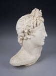 Large Plaster Bust Of Apollo Belvedere - Harrington Antiques