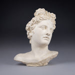 Large Plaster Bust Of Apollo Belvedere - Harrington Antiques